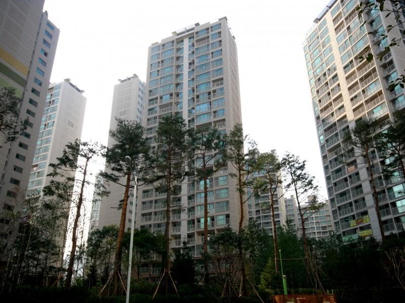 123동
