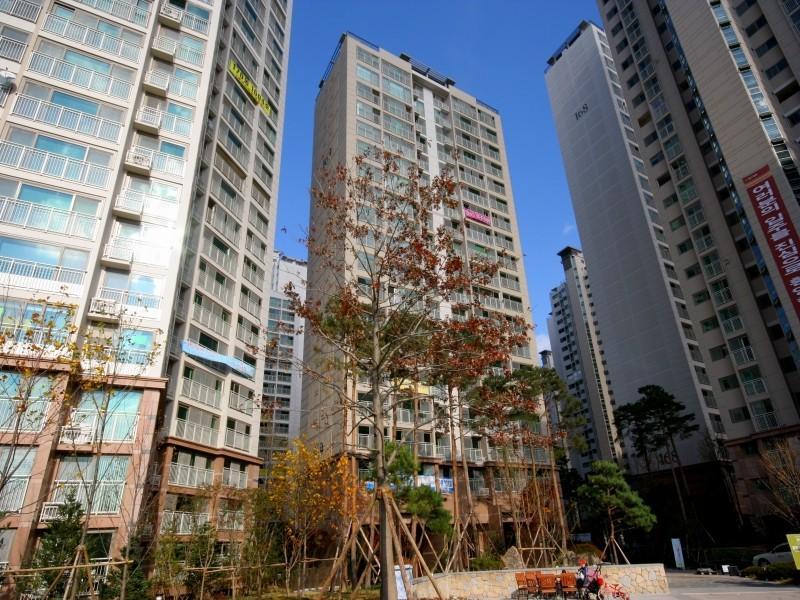 169동