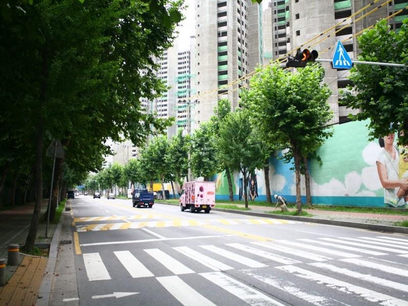 뒷도로