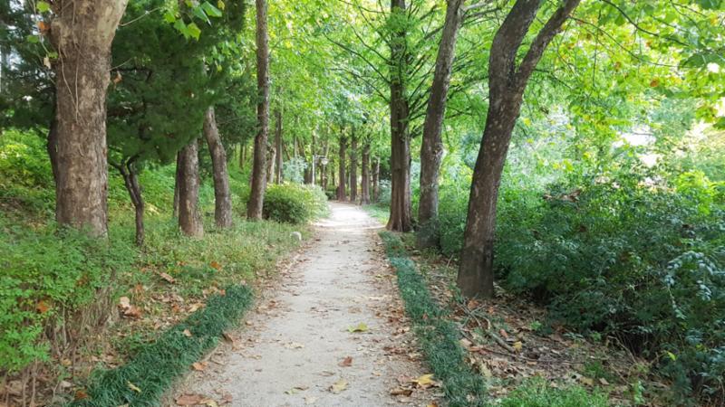 주변에 작은 공원이 있어 저녁이나 주말에 가벼운 산책을 즐기기에도 안성맞춤이에요