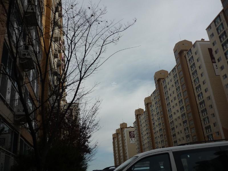 P1020205