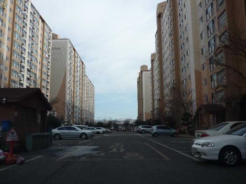 P1020194
