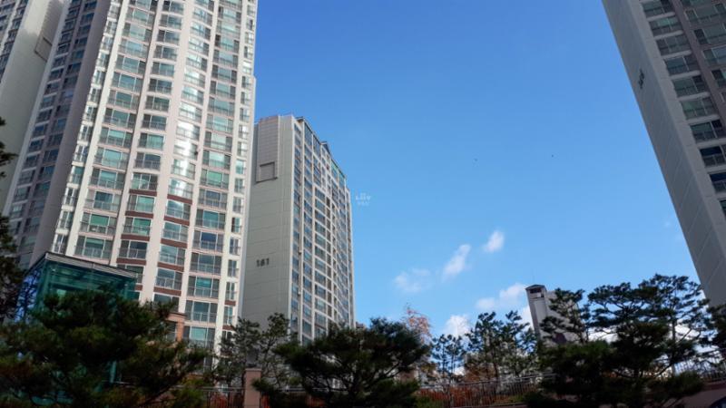 동탄예당마을롯데캐슬의 단지 전경이에요