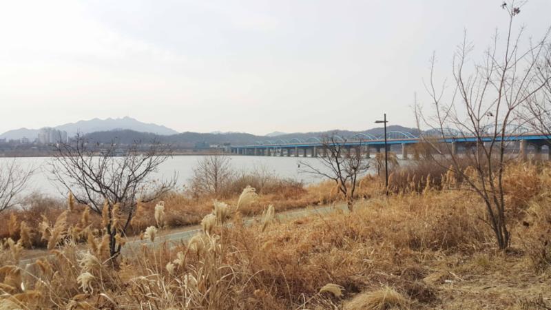 단지 주변으로 이촌한강공원이 위치해 있습니다