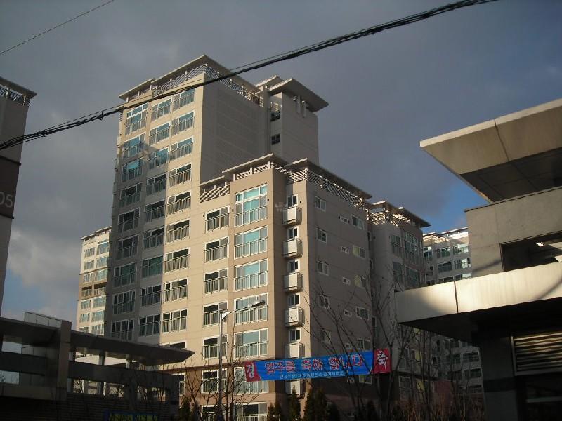 DSCN4302