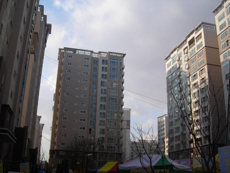 DSCN8547