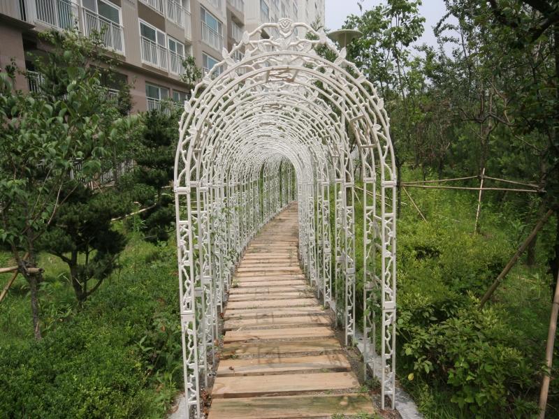 산책로1