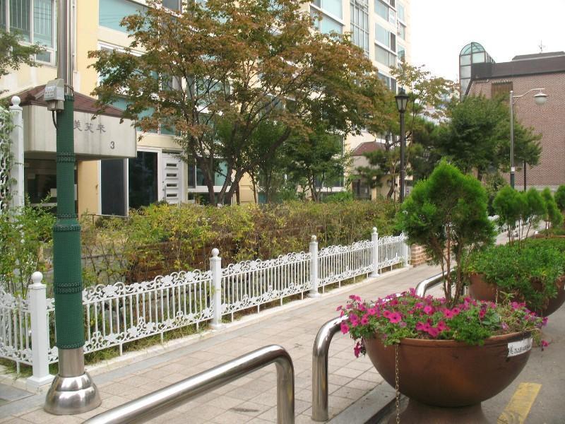 사진 426