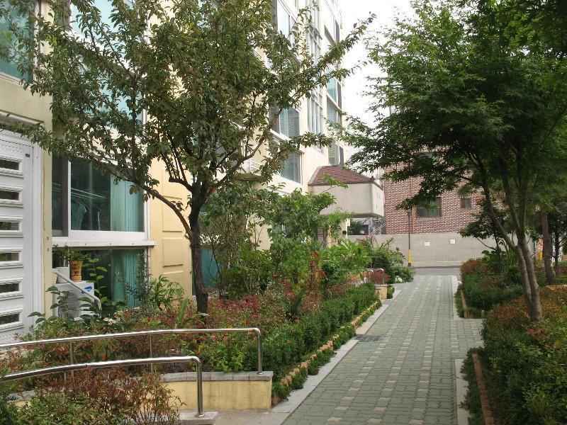 사진 431
