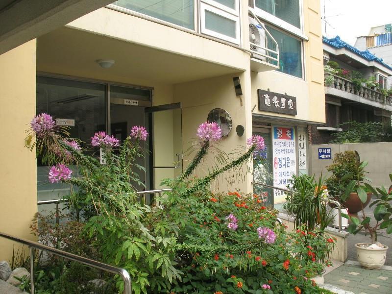 사진 435