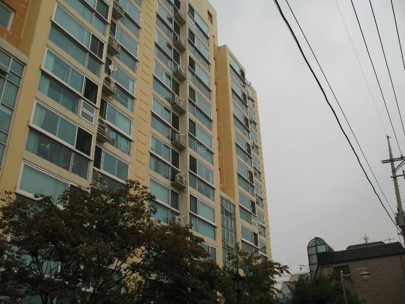 사진 428