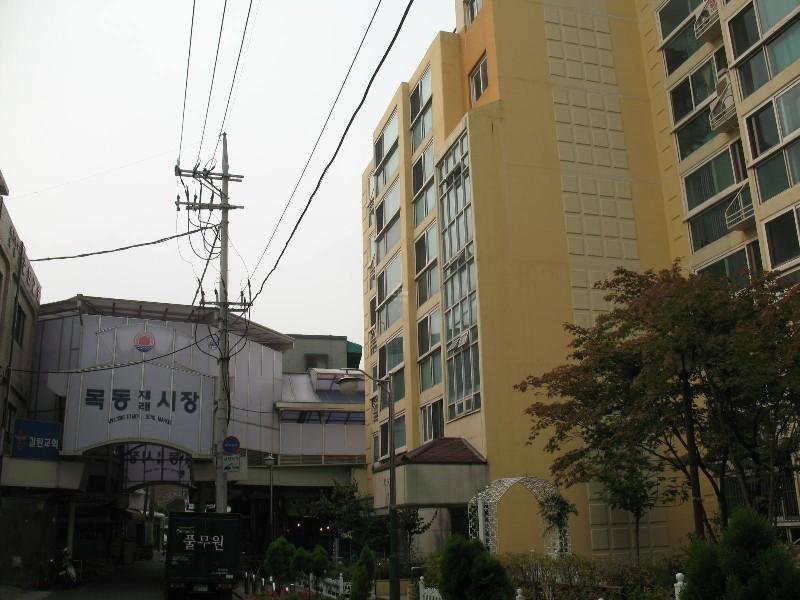 사진 436