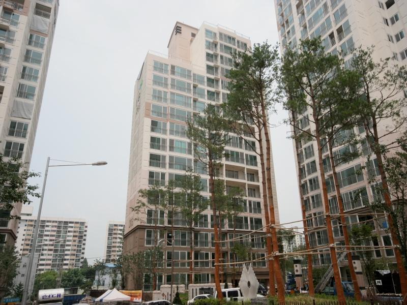 203동