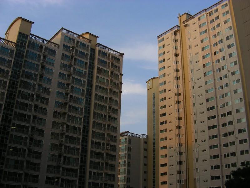 DSCN6151