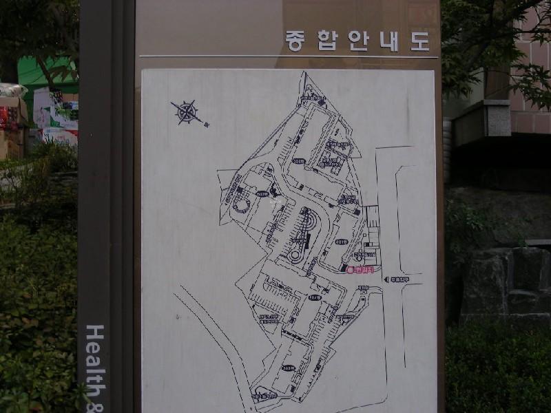 DSCN6166