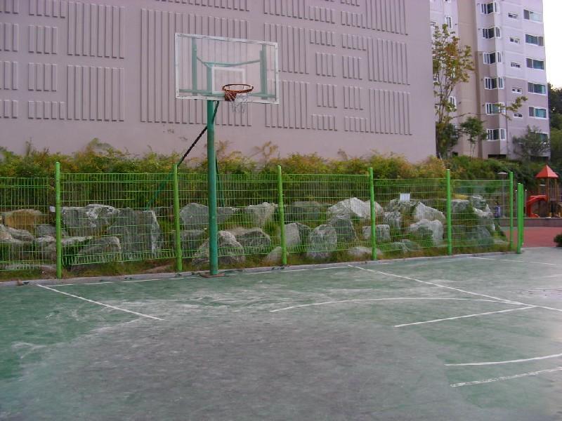 DSCN6161