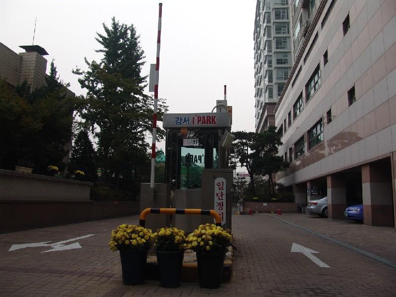DSC09619
