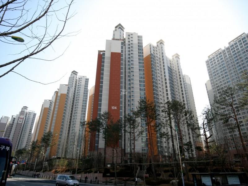 104동