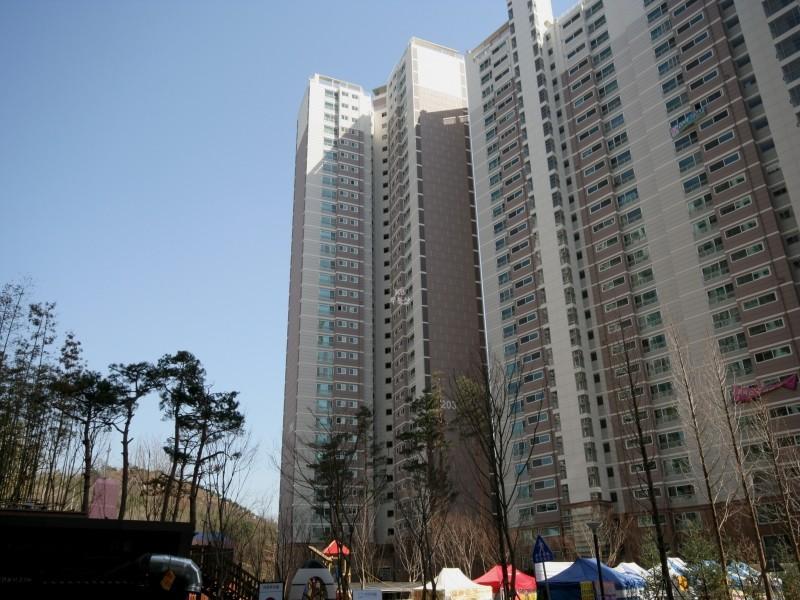 203동