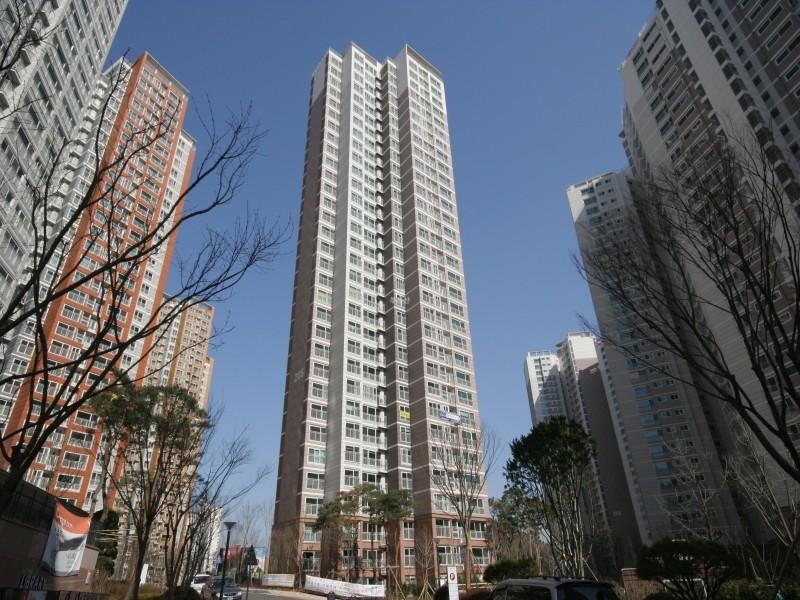 205동