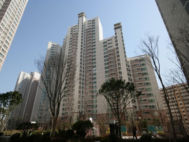 207동