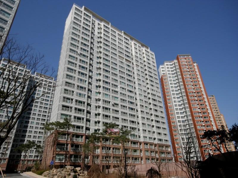 303동
