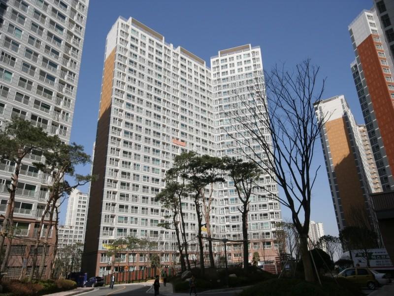 306동