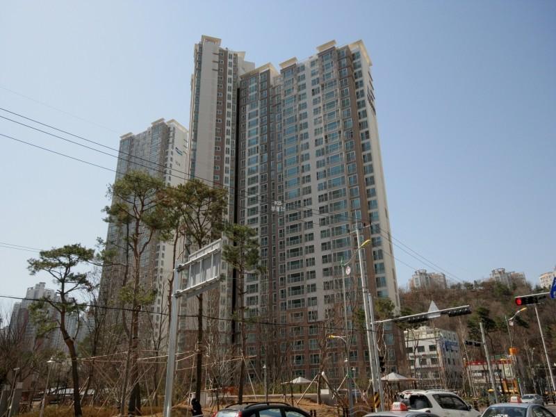 101동