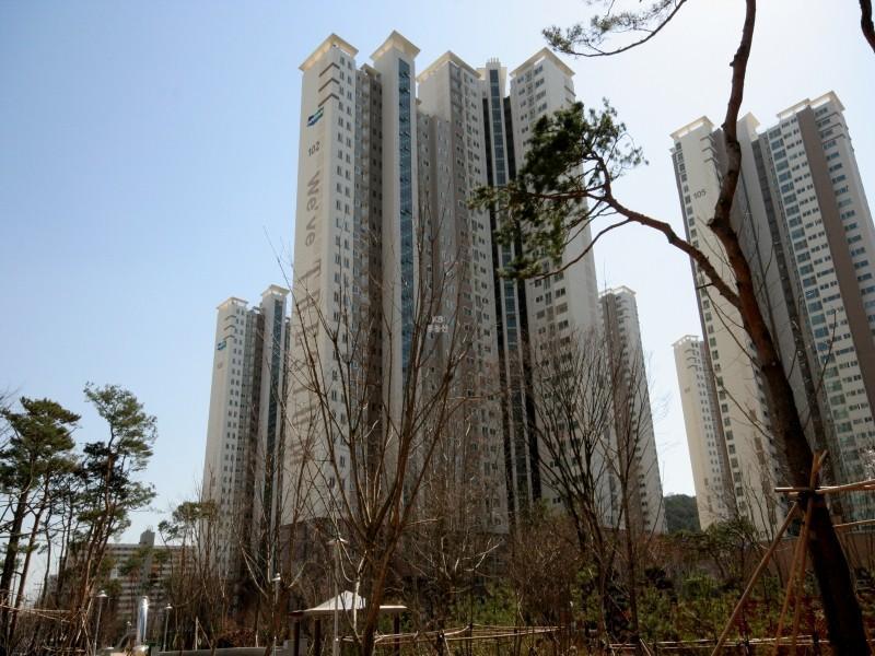 102동1