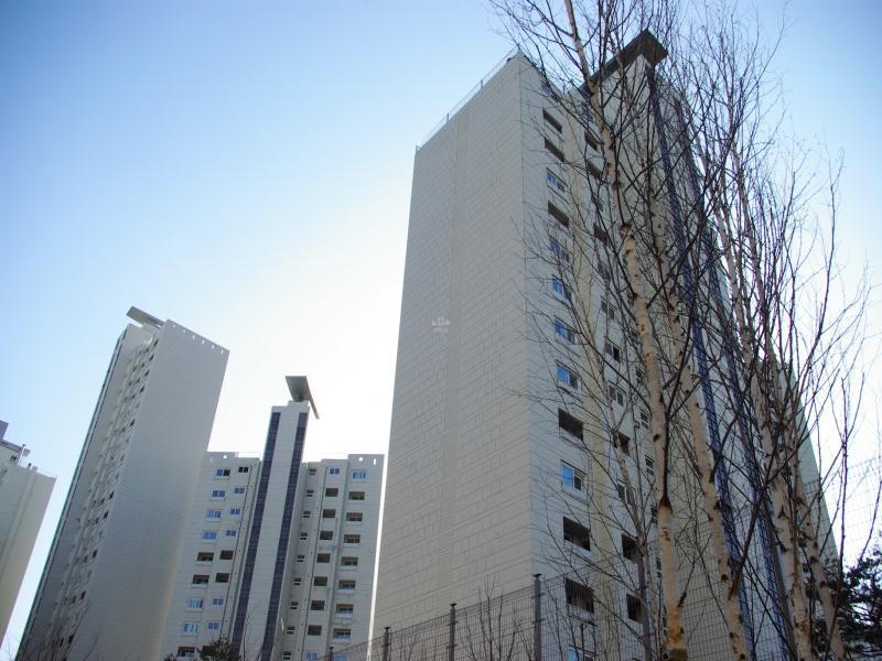 SG108640