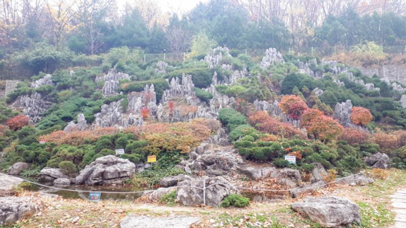 철산푸르지오하늘채 아파트 단지 내 조경입니다