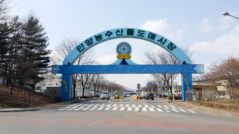다양한 볼거리와 먹거리가 있는 안양농수산물도매시장입니다