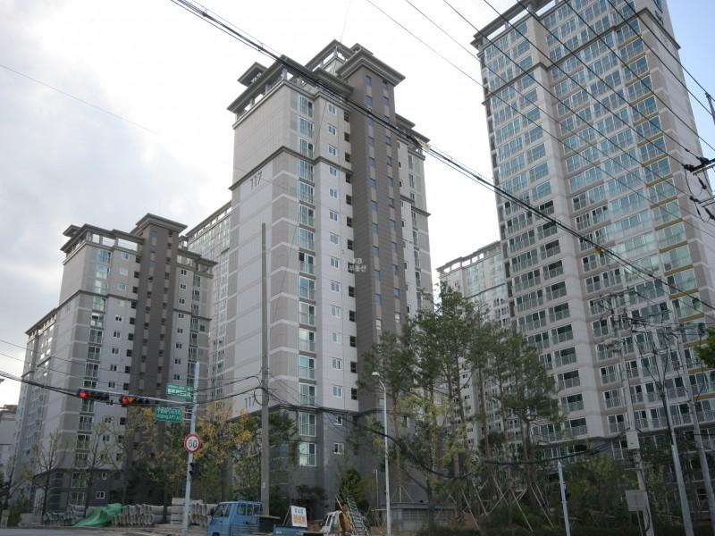 117동