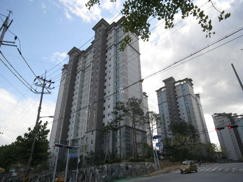 219동