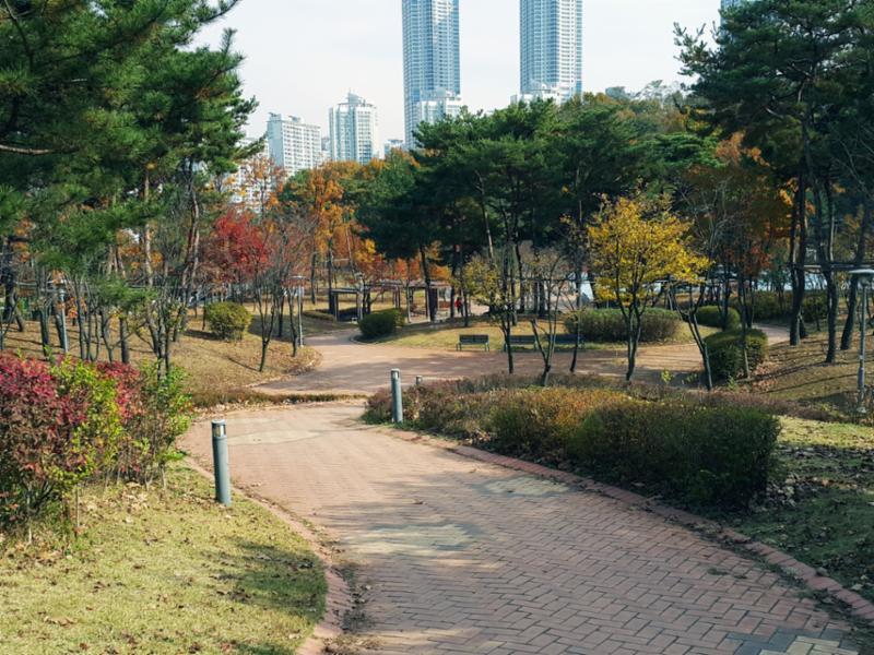 풍부한 녹지공간을 자랑하는 동탄센트럴파크입니다