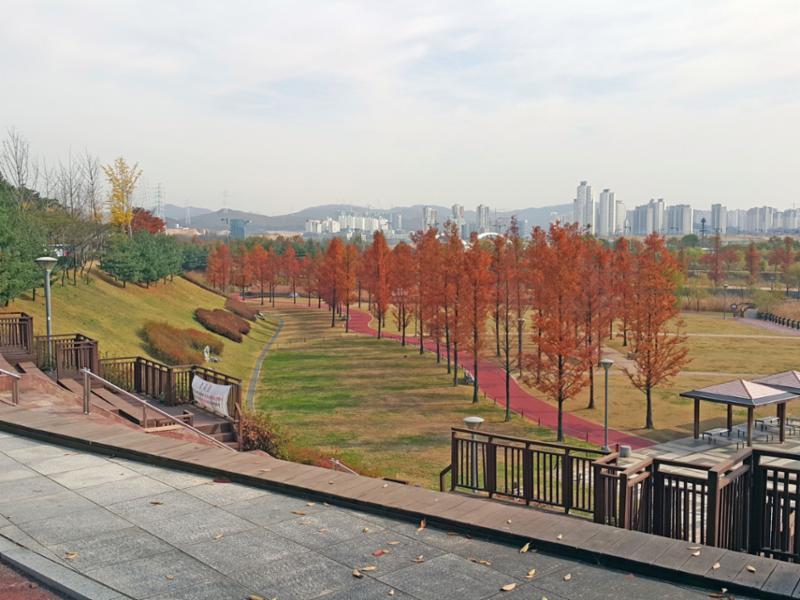 쾌적한 녹지공간인 노작공원이 있습니다