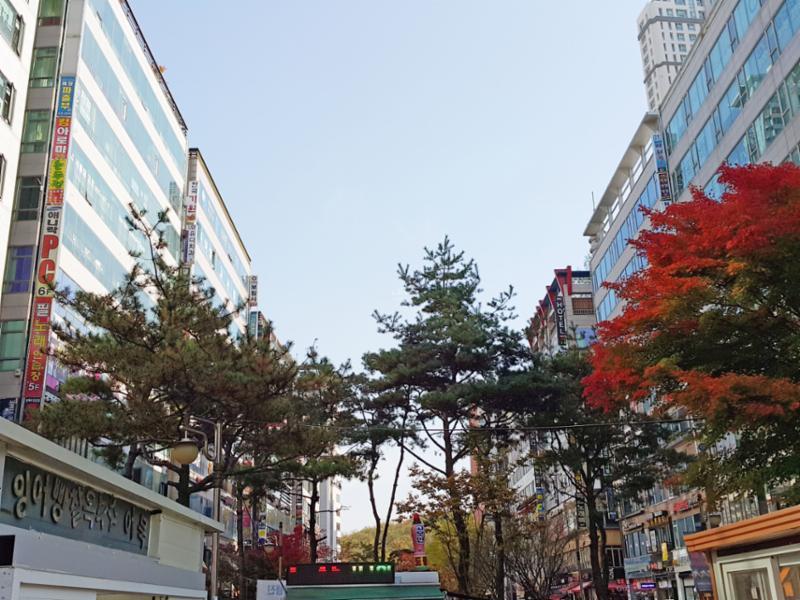 다양한 상권들이 형성되어 있어 먹거리 및 놀거리가 가득한 먹자골목입니다