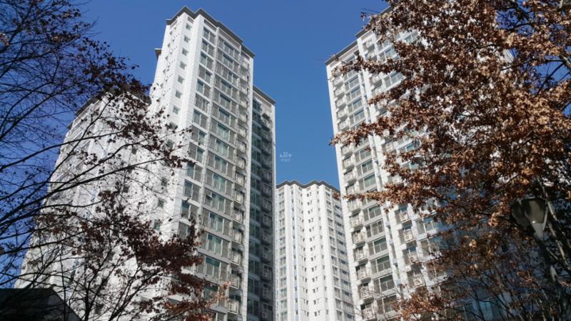 단지전경이에요