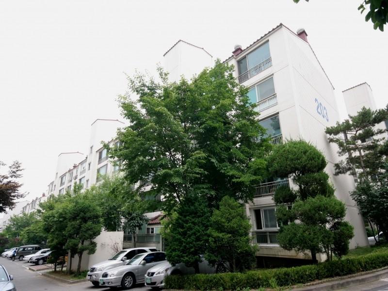 203동