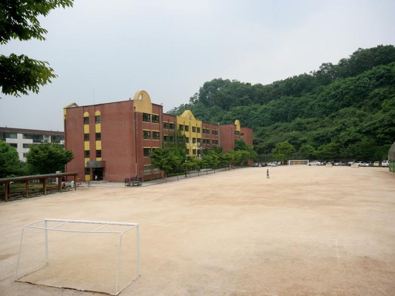 대모초교