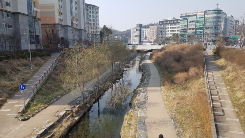 탄천입니다