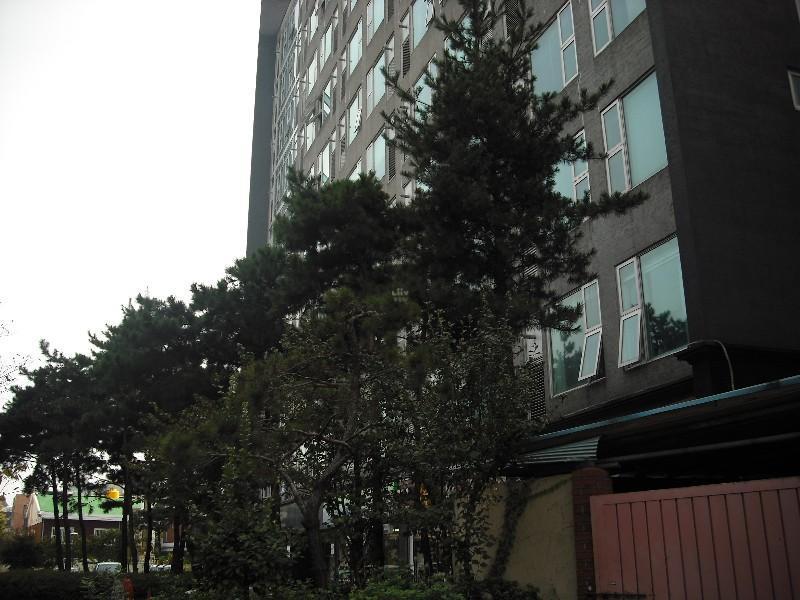 DSCF0679