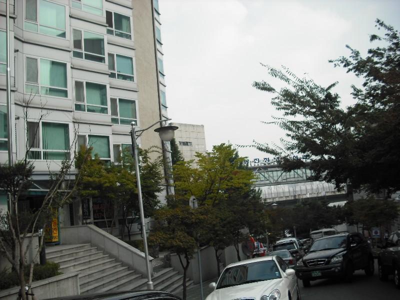 DSCF0401