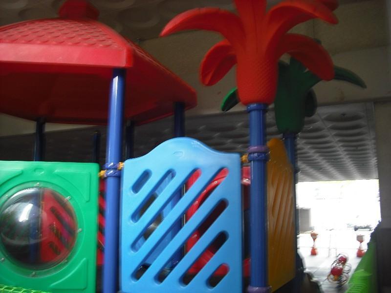 DSCF0810