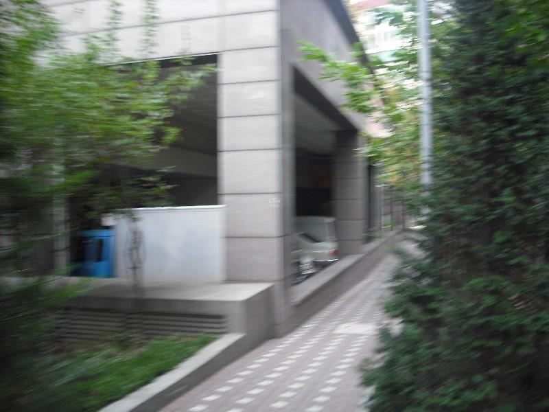 DSCF0807