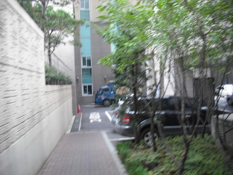 DSCF0808