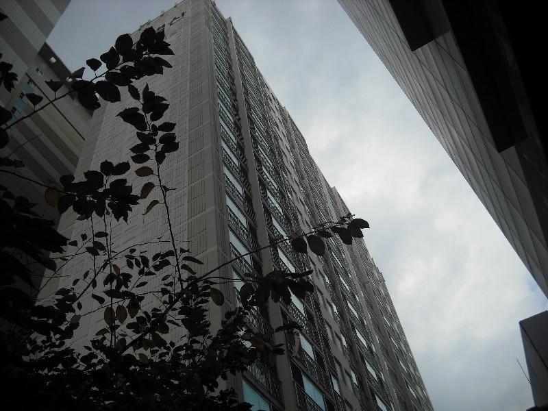 DSCF0806