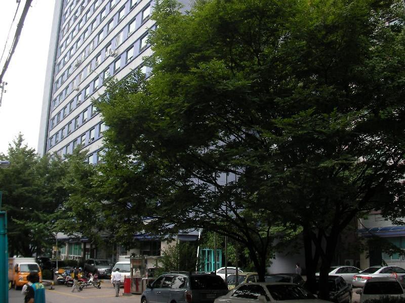SANY0226