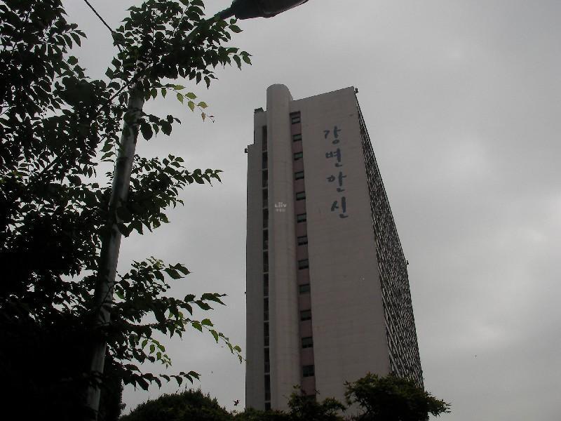 SANY0219
