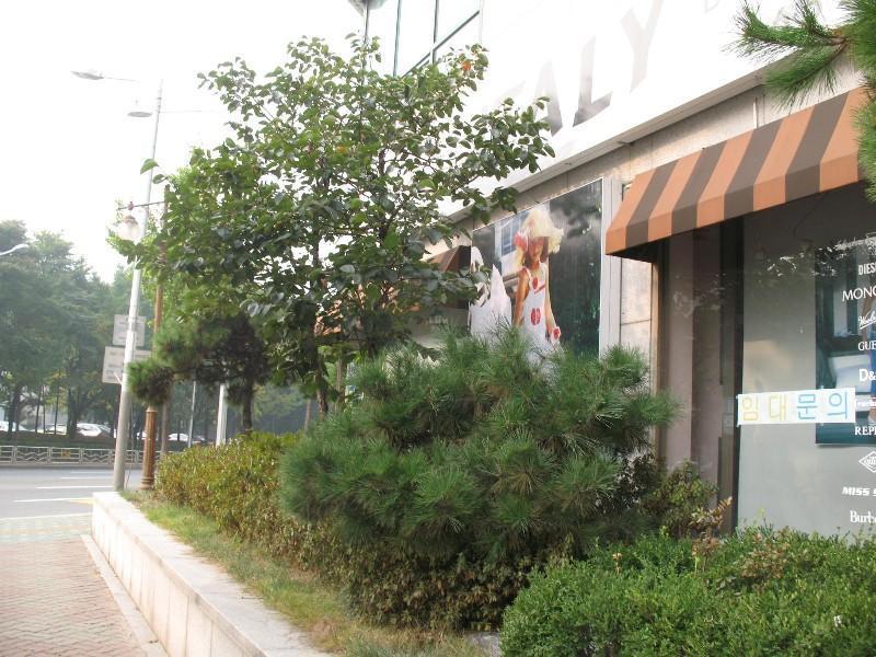 사진 047